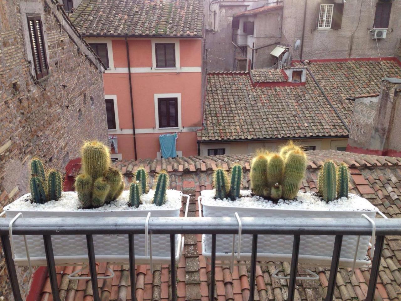 Bbhomerome - Campo Dei Fiori Balcony View Penthouse Dış mekan fotoğraf